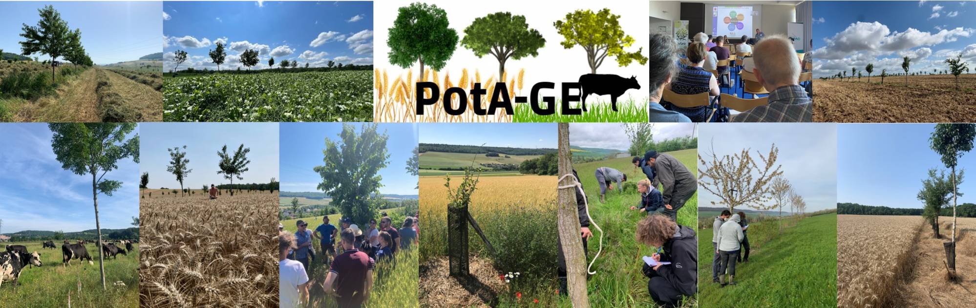 Bandeau projet PotA-GE