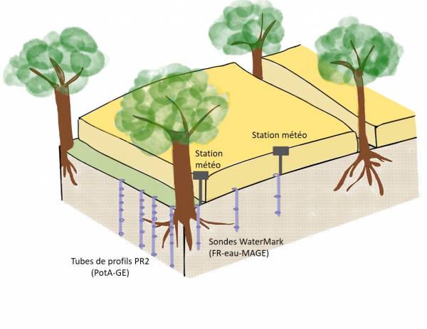 Disposition des équipements de mesure du microclimat et de l’humidité du sol sur la ligne d’arbre et dans le champ sur les parcelles du réseau PotA...