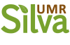 Logo UMR Silva